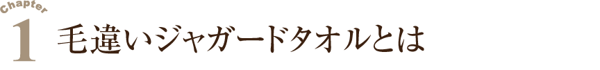 １.毛違いジャカードタオルとは