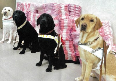 イトサラリ口コミ_banner