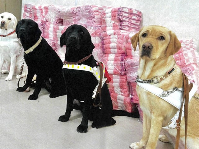 イトサラリ口コミ_banner