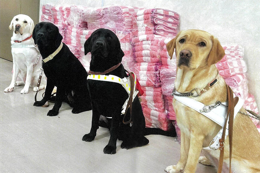 イトサラリ口コミ_banner